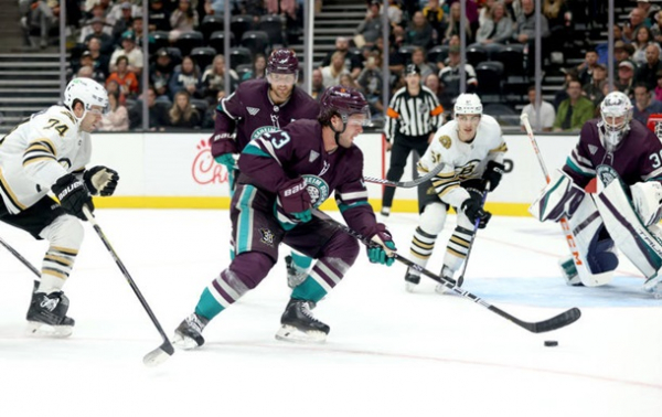 НХЛ: Детройт і Бостон виграють вп'яте поспіль НХЛ: Детройт і Бостон виграють вп'яте поспіль